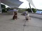 carousel chooser